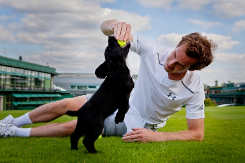 Andy Murray, WWF Global Ambassador meets Metropolitan Police Service dogs at The Championships, Wimbledon to highlight the role of sniffer dogs in the global fight against the illegal wildlife trade. wwf.org.uk/andy